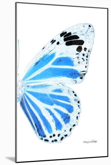 Miss Butterfly Genutia - X-Ray Right White Edition-Philippe Hugonnard-Mounted Photographic Print