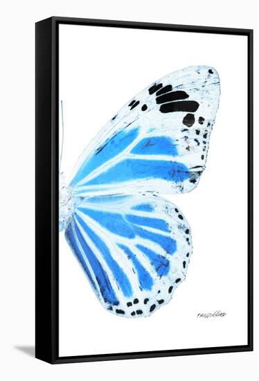 Miss Butterfly Genutia - X-Ray Right White Edition-Philippe Hugonnard-Framed Stretched Canvas