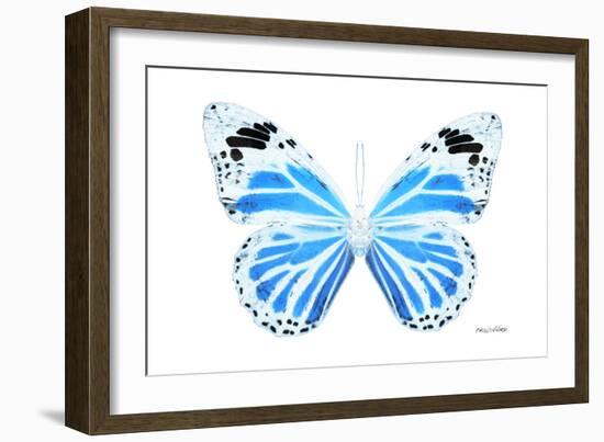 Miss Butterfly Genutia - X-Ray White Edition-Philippe Hugonnard-Framed Photographic Print