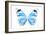 Miss Butterfly Genutia - X-Ray White Edition-Philippe Hugonnard-Framed Photographic Print