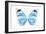 Miss Butterfly Genutia - X-Ray White Edition-Philippe Hugonnard-Framed Photographic Print