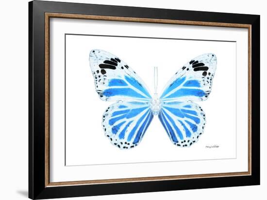 Miss Butterfly Genutia - X-Ray White Edition-Philippe Hugonnard-Framed Photographic Print