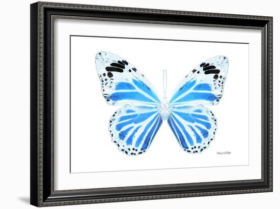 Miss Butterfly Genutia - X-Ray White Edition-Philippe Hugonnard-Framed Photographic Print