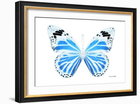 Miss Butterfly Genutia - X-Ray White Edition-Philippe Hugonnard-Framed Photographic Print