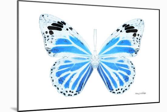 Miss Butterfly Genutia - X-Ray White Edition-Philippe Hugonnard-Mounted Premium Photographic Print
