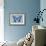 Miss Butterfly Graphium - Blue-Philippe Hugonnard-Framed Photographic Print displayed on a wall