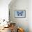 Miss Butterfly Graphium - Blue-Philippe Hugonnard-Framed Photographic Print displayed on a wall