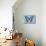 Miss Butterfly Graphium - Blue-Philippe Hugonnard-Mounted Photographic Print displayed on a wall