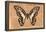 Miss Butterfly Graphium - Orange-Philippe Hugonnard-Framed Premier Image Canvas