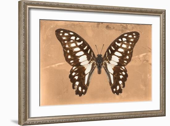 Miss Butterfly Graphium - Orange-Philippe Hugonnard-Framed Photographic Print