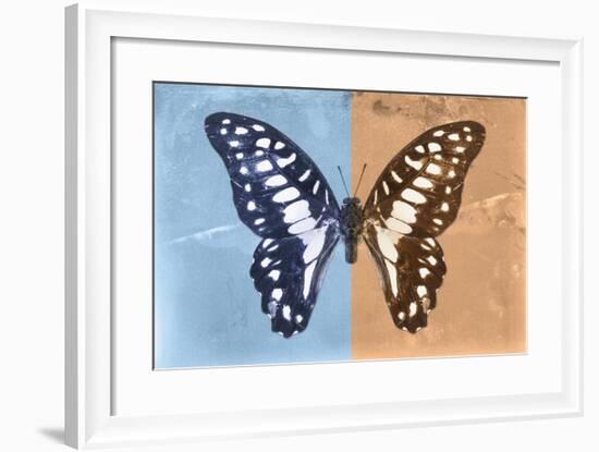 Miss Butterfly Graphium Profil - Blue & Orange-Philippe Hugonnard-Framed Photographic Print