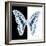 Miss Butterfly Graphium Sq - X-Ray B&W Edition-Philippe Hugonnard-Framed Photographic Print