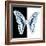 Miss Butterfly Graphium Sq - X-Ray B&W Edition-Philippe Hugonnard-Framed Photographic Print