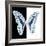 Miss Butterfly Graphium Sq - X-Ray B&W Edition-Philippe Hugonnard-Framed Photographic Print