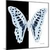 Miss Butterfly Graphium Sq - X-Ray B&W Edition-Philippe Hugonnard-Mounted Photographic Print