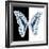 Miss Butterfly Graphium Sq - X-Ray B&W Edition-Philippe Hugonnard-Framed Photographic Print