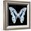 Miss Butterfly Graphium Sq - X-Ray Black Edition-Philippe Hugonnard-Framed Photographic Print
