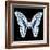 Miss Butterfly Graphium Sq - X-Ray Black Edition-Philippe Hugonnard-Framed Photographic Print