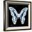 Miss Butterfly Graphium Sq - X-Ray Black Edition-Philippe Hugonnard-Framed Photographic Print