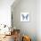 Miss Butterfly Graphium Sq - X-Ray White Edition-Philippe Hugonnard-Photographic Print displayed on a wall