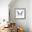 Miss Butterfly Graphium Sq - X-Ray White Edition-Philippe Hugonnard-Framed Photographic Print displayed on a wall