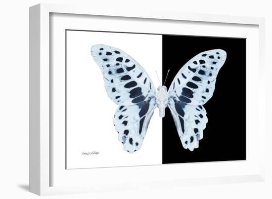 Miss Butterfly Graphium - X-Ray B&W Edition-Philippe Hugonnard-Framed Photographic Print