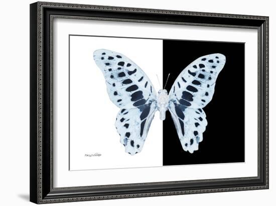 Miss Butterfly Graphium - X-Ray B&W Edition-Philippe Hugonnard-Framed Photographic Print