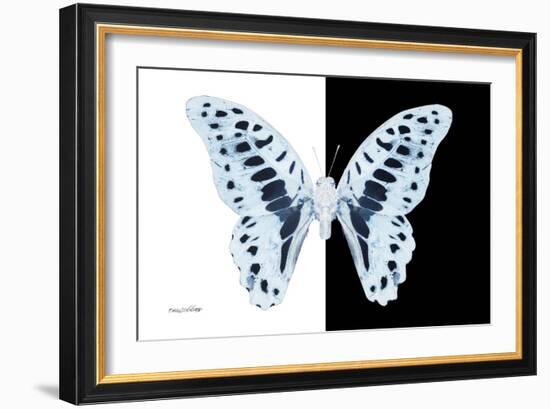 Miss Butterfly Graphium - X-Ray B&W Edition-Philippe Hugonnard-Framed Photographic Print