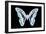 Miss Butterfly Graphium - X-Ray Black Edition-Philippe Hugonnard-Framed Photographic Print