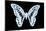 Miss Butterfly Graphium - X-Ray Black Edition-Philippe Hugonnard-Mounted Photographic Print