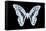 Miss Butterfly Graphium - X-Ray Black Edition-Philippe Hugonnard-Framed Stretched Canvas