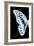 Miss Butterfly Graphium - X-Ray Left Black Edition-Philippe Hugonnard-Framed Photographic Print