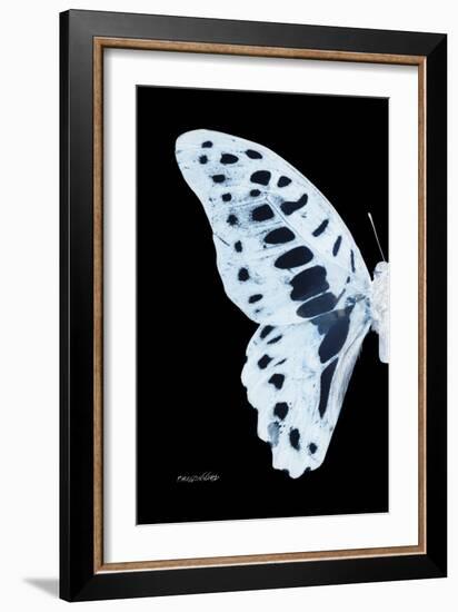 Miss Butterfly Graphium - X-Ray Left Black Edition-Philippe Hugonnard-Framed Photographic Print