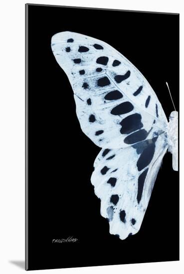 Miss Butterfly Graphium - X-Ray Left Black Edition-Philippe Hugonnard-Mounted Photographic Print