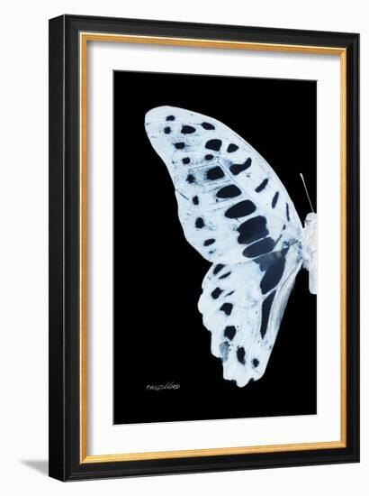 Miss Butterfly Graphium - X-Ray Left Black Edition-Philippe Hugonnard-Framed Photographic Print
