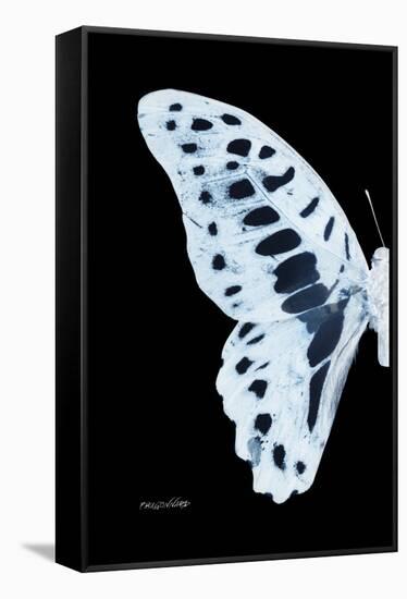 Miss Butterfly Graphium - X-Ray Left Black Edition-Philippe Hugonnard-Framed Stretched Canvas