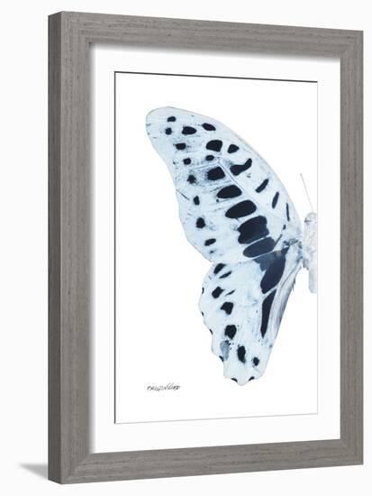 Miss Butterfly Graphium - X-Ray Left White Edition-Philippe Hugonnard-Framed Photographic Print