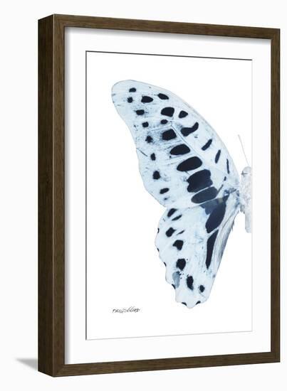 Miss Butterfly Graphium - X-Ray Left White Edition-Philippe Hugonnard-Framed Photographic Print