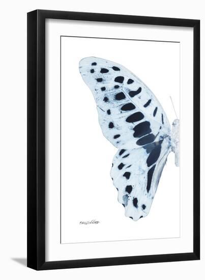 Miss Butterfly Graphium - X-Ray Left White Edition-Philippe Hugonnard-Framed Photographic Print