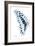 Miss Butterfly Graphium - X-Ray Left White Edition-Philippe Hugonnard-Framed Photographic Print