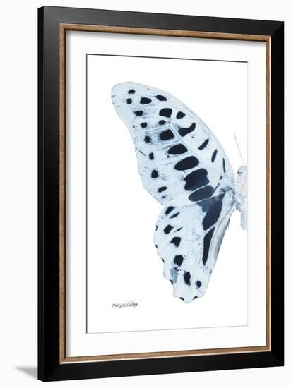 Miss Butterfly Graphium - X-Ray Left White Edition-Philippe Hugonnard-Framed Photographic Print