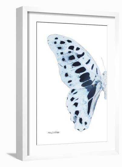 Miss Butterfly Graphium - X-Ray Left White Edition-Philippe Hugonnard-Framed Photographic Print