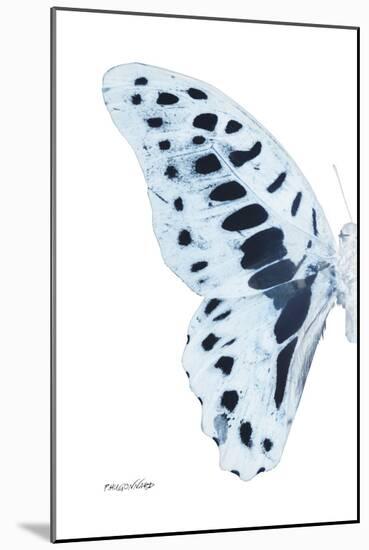 Miss Butterfly Graphium - X-Ray Left White Edition-Philippe Hugonnard-Mounted Photographic Print