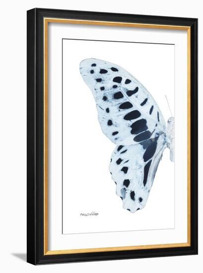 Miss Butterfly Graphium - X-Ray Left White Edition-Philippe Hugonnard-Framed Photographic Print