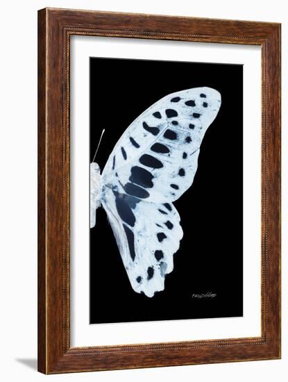 Miss Butterfly Graphium - X-Ray Right Black Edition-Philippe Hugonnard-Framed Photographic Print