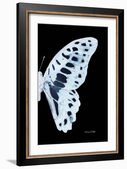 Miss Butterfly Graphium - X-Ray Right Black Edition-Philippe Hugonnard-Framed Photographic Print