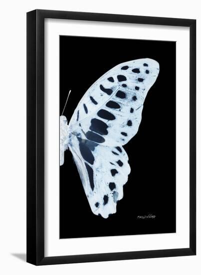 Miss Butterfly Graphium - X-Ray Right Black Edition-Philippe Hugonnard-Framed Photographic Print