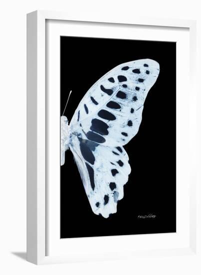 Miss Butterfly Graphium - X-Ray Right Black Edition-Philippe Hugonnard-Framed Photographic Print