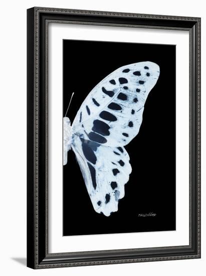 Miss Butterfly Graphium - X-Ray Right Black Edition-Philippe Hugonnard-Framed Photographic Print