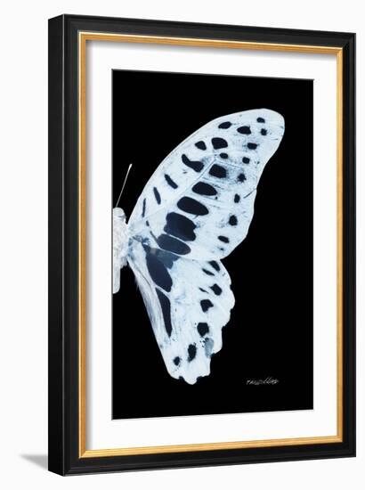 Miss Butterfly Graphium - X-Ray Right Black Edition-Philippe Hugonnard-Framed Photographic Print